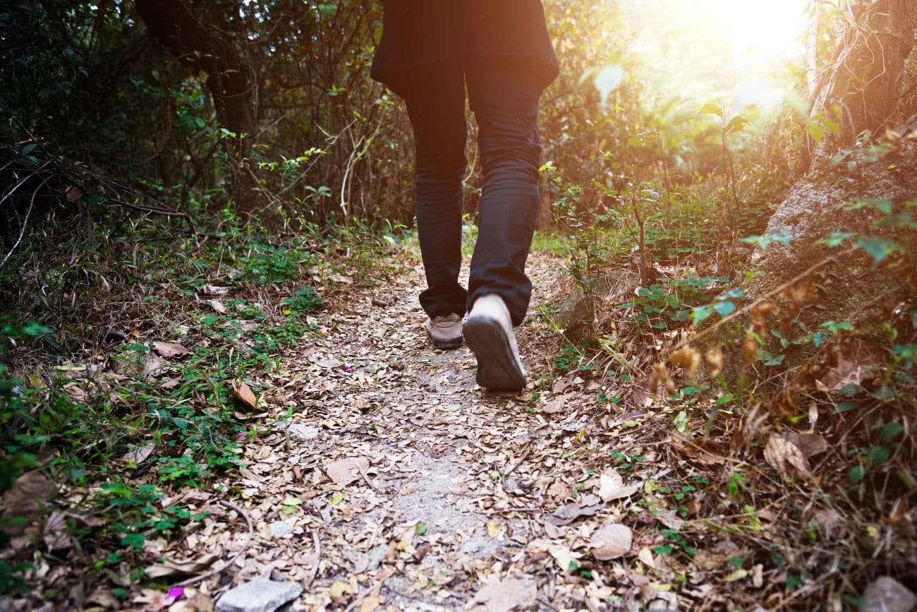 Drept de servitute - Servitute de trecere și  servitute de vedere