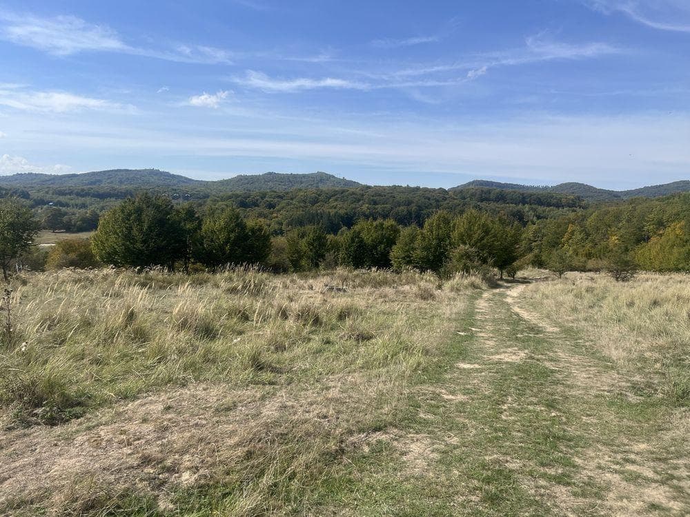 Vand sau schimb !Teren in polilnica (vladeni brasov - imagine 1