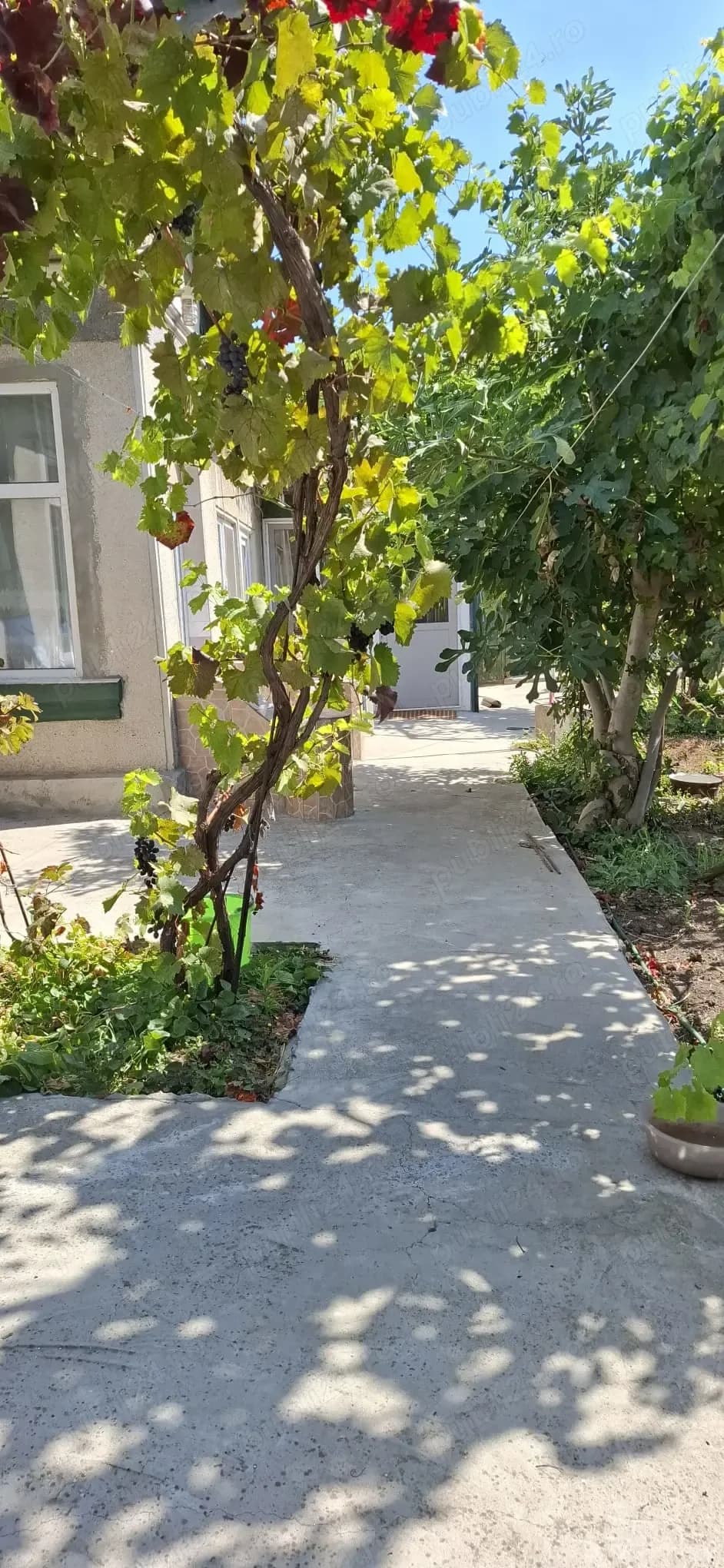 Casa cu gradina si curte 400 mp, cartier Bratianu, Constanta