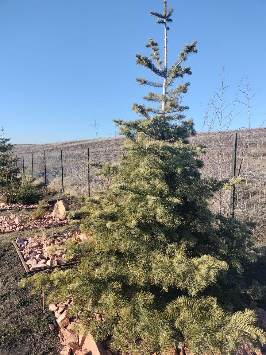 Ofer  grădina senzoriala de relaxare și stat în tihnă, Cluj-Napoca