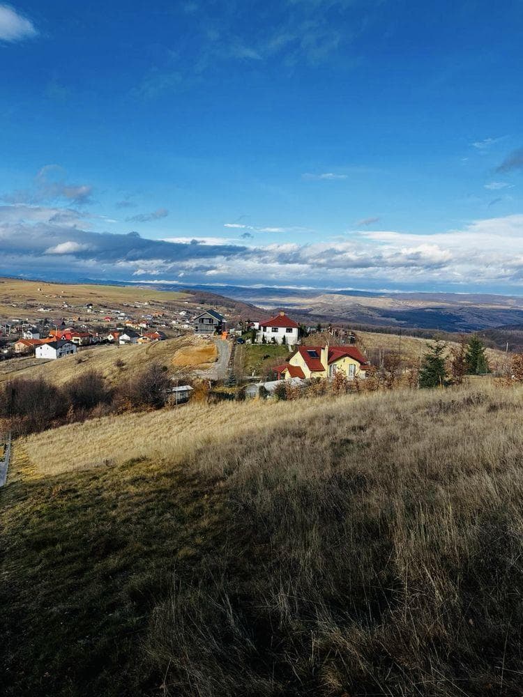 Vand Teren Salicea 4500mp partial intravilan / extravilan - imagine 1