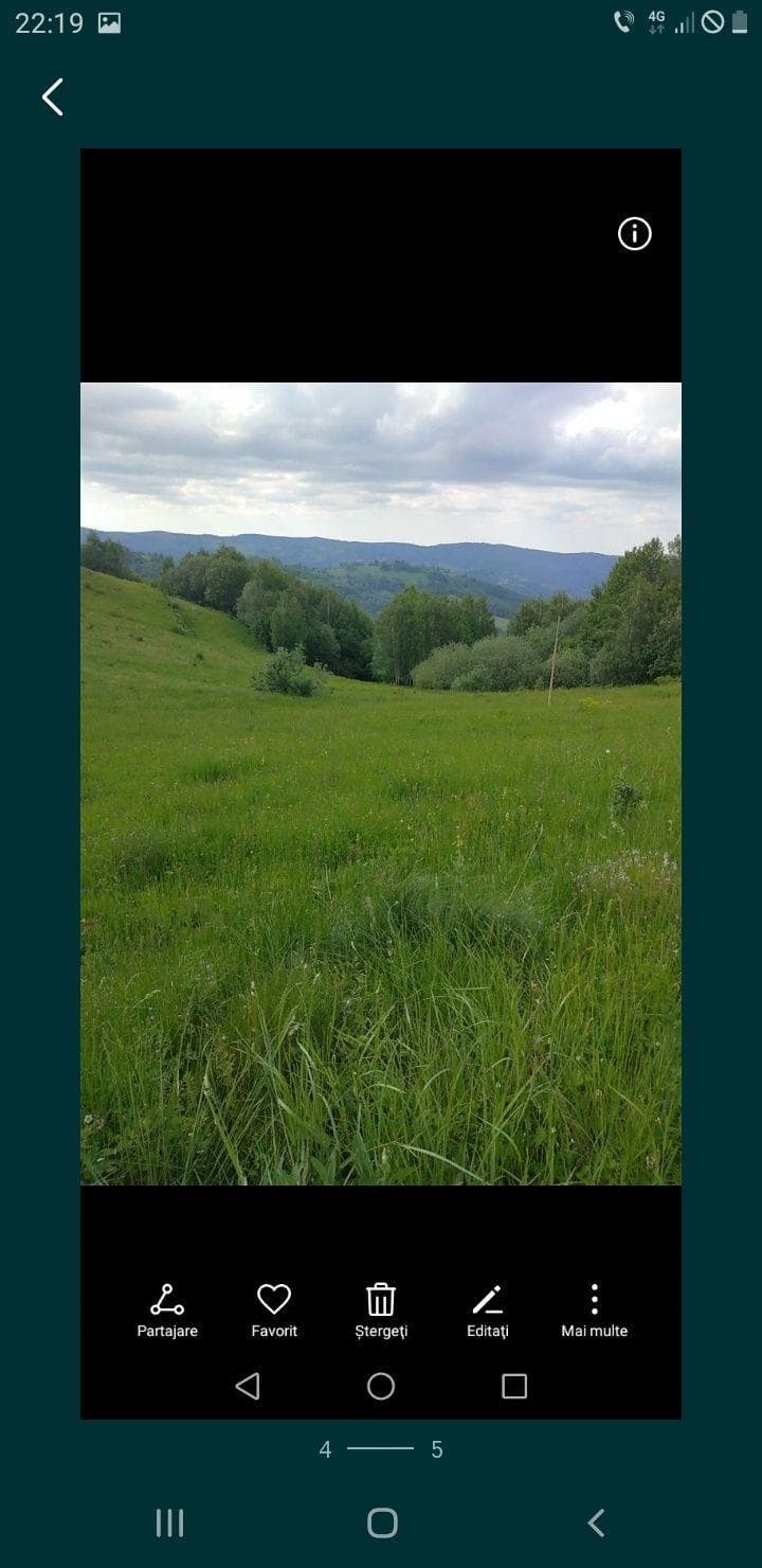 Teren in masivul Vladeasa-intravilan -10000 euro - imagine 1