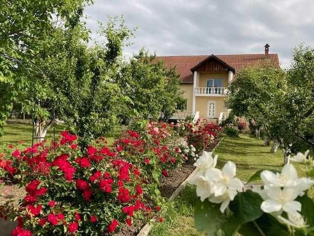 Casa mare si luminoasa pe und teren construibil de 15.100 m.p. - imagine 1