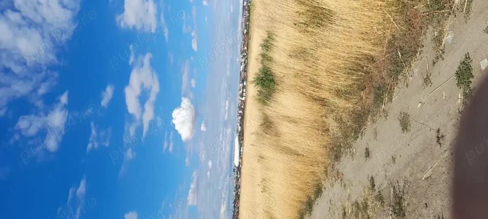 Teren văinzare mofleni - imagine 1