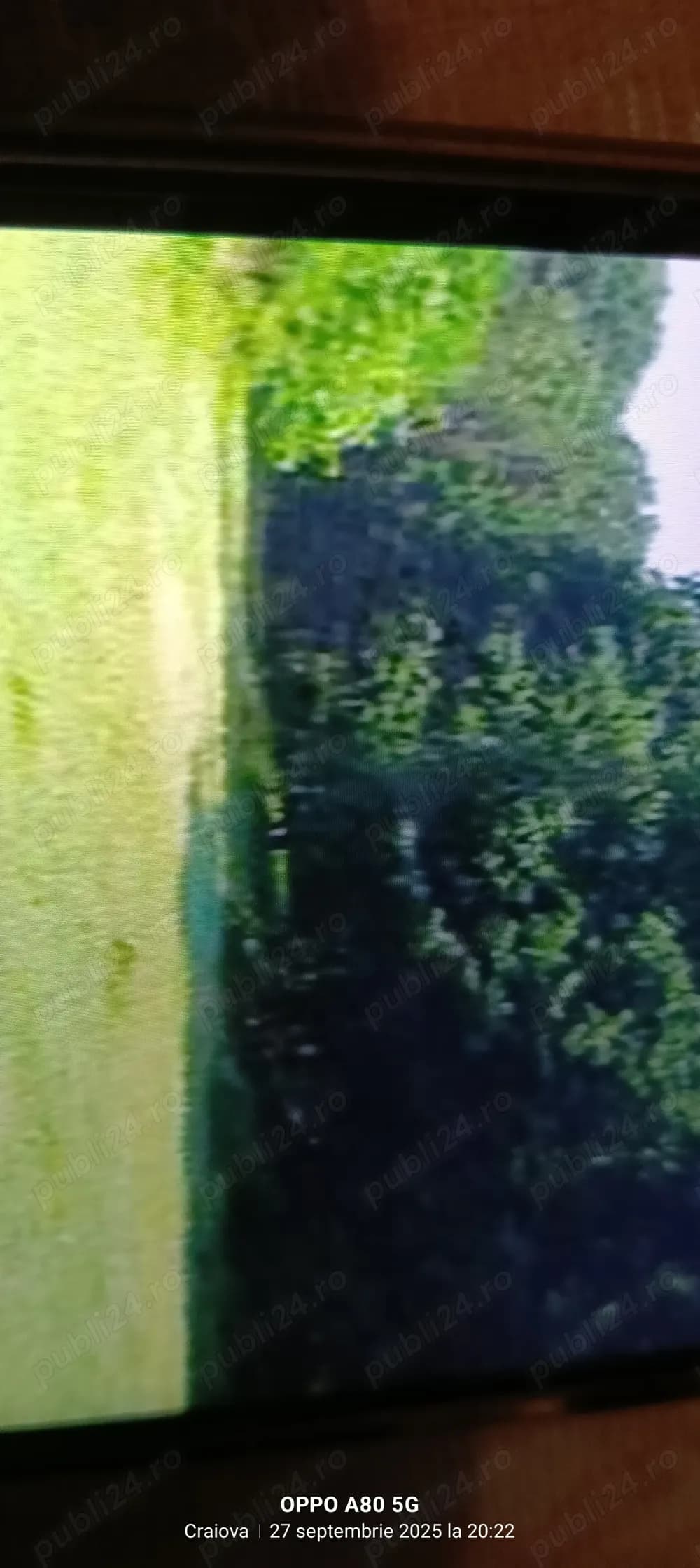 Vând 14 Ha de pădure