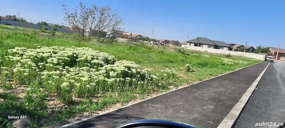 Proprietar vind Intravilan 3008mp,str. Ana Aslan,Craiova; Dolj