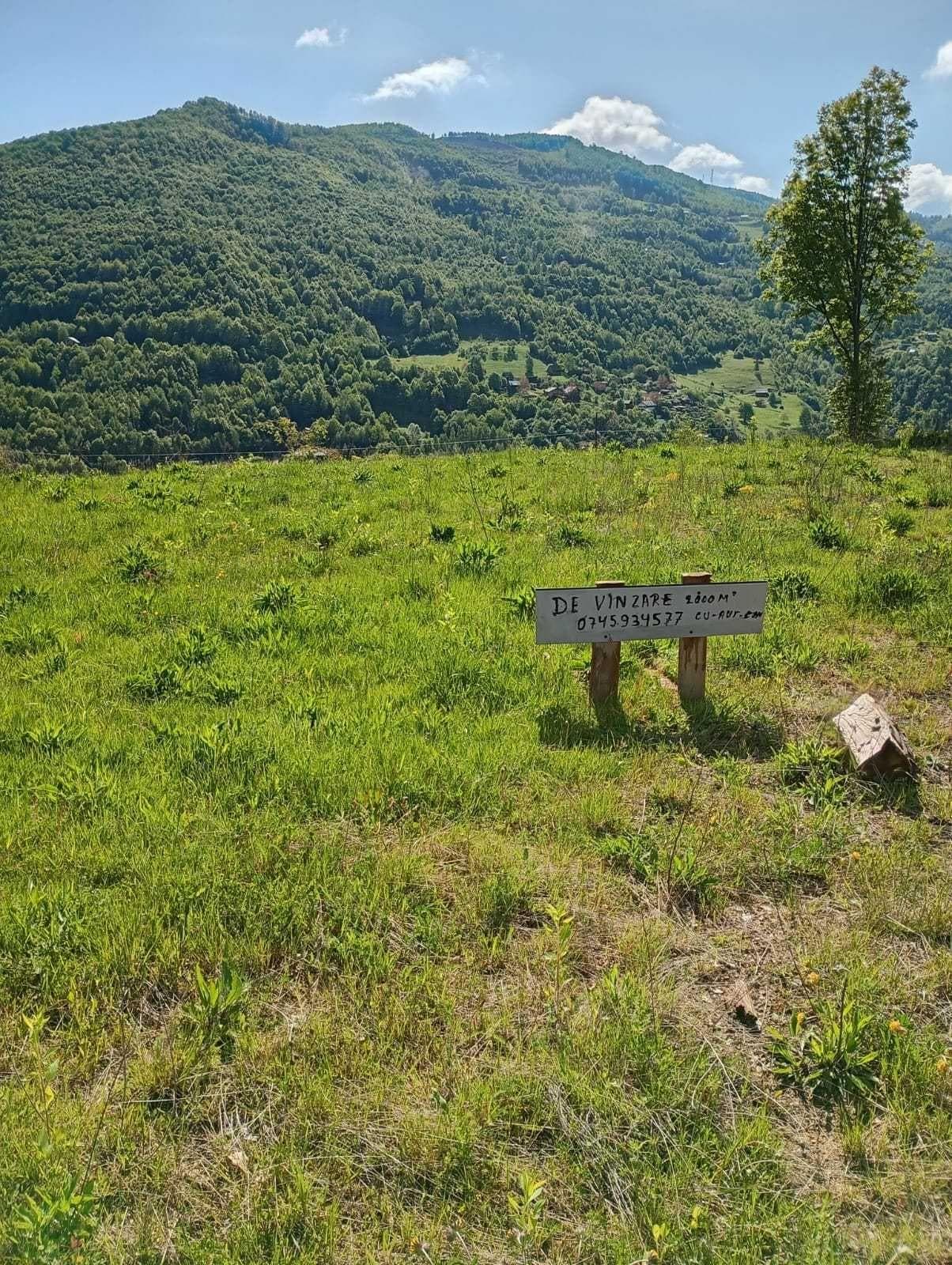 Vand teren Somesul Rece-Muntele Paltinei - imagine 1