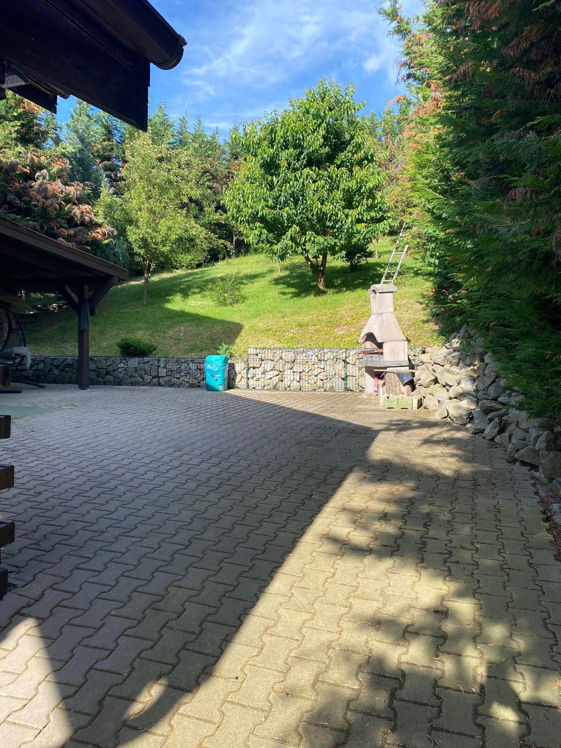 Închiriez Vila în Făget - imagine 1