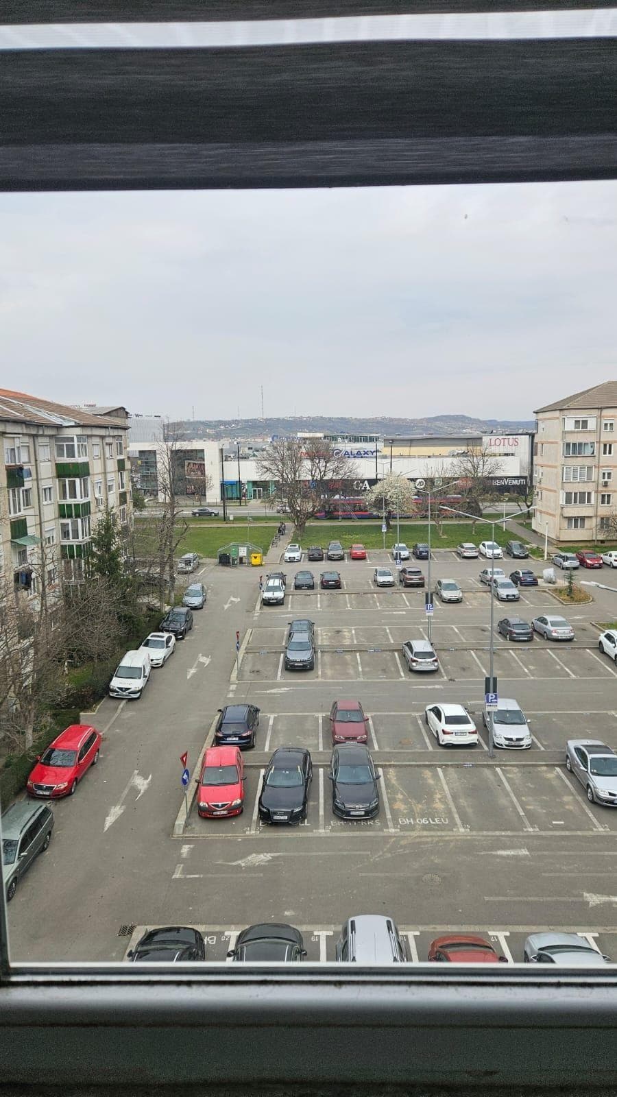 Gars tip D  vis-à-vis de  Lotus Nufărul