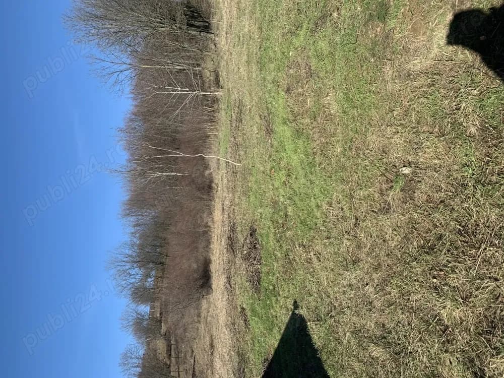 Teren intravilan 7200 m2  , strada Pădurii , zona Oncea