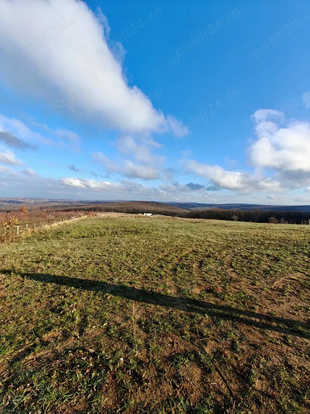 Teren intravilan, acces rapid către Oradea