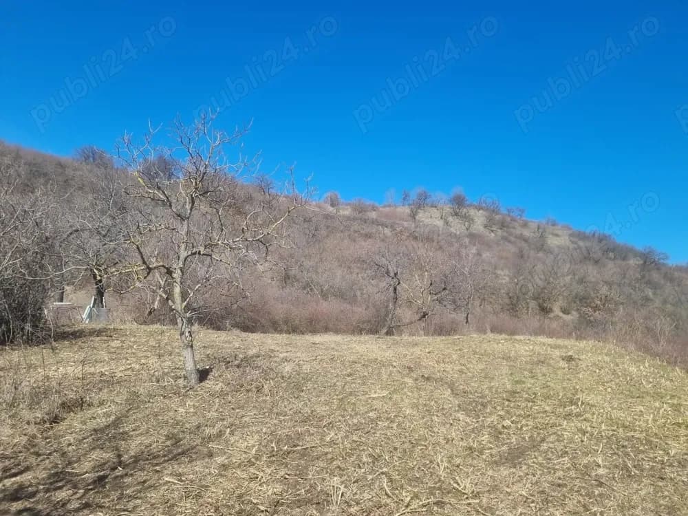 Vand Teren extravilan Podgoria Oradea