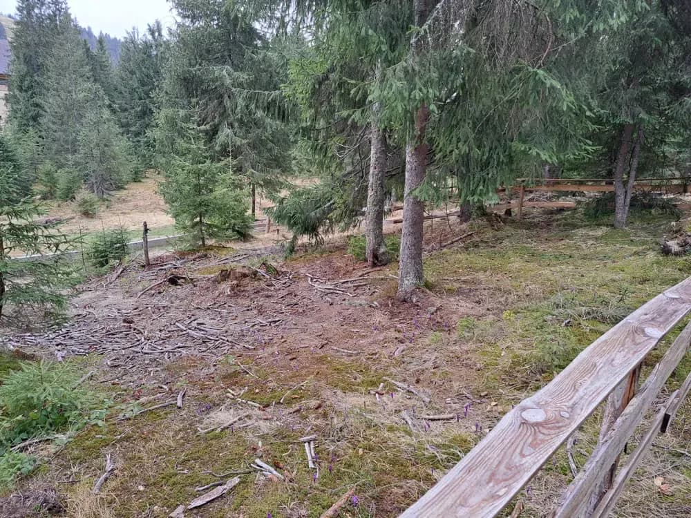 Vând un teren în Vartop-Arieseni