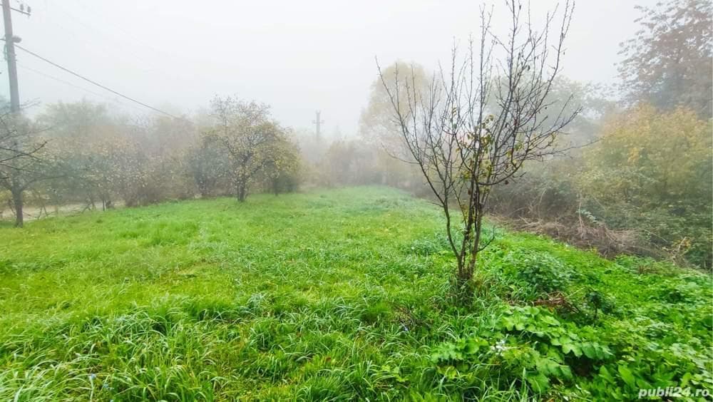 De vanzare teren intravilan 1319 mp Podgoria - imagine 1