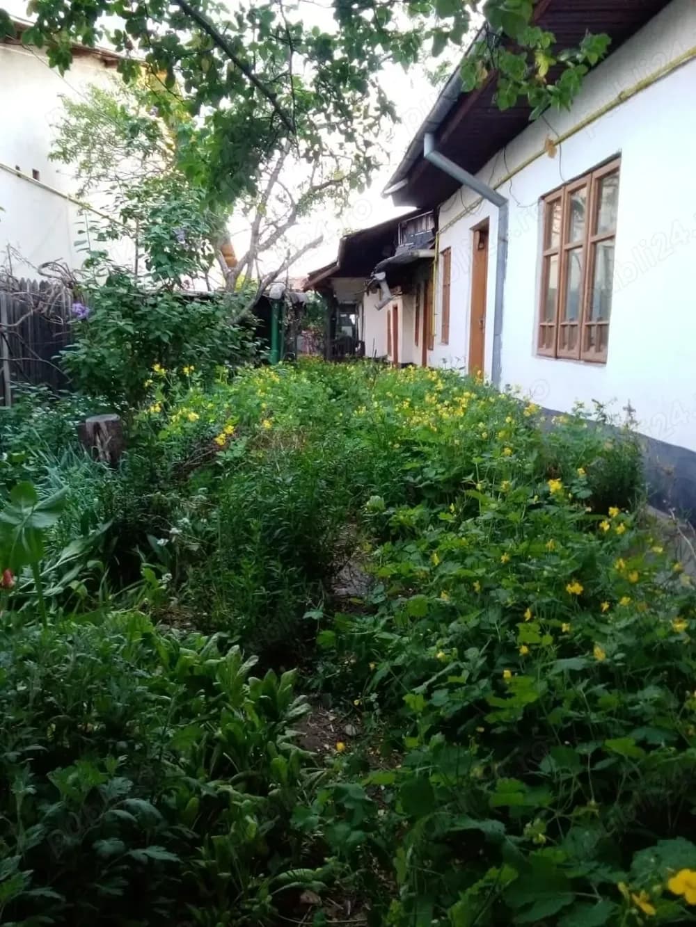 Teren cu casa intr-o zona excelenta - str. Nicopole nr. 42, Ploiesti