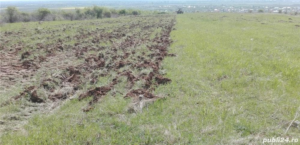 Teren extravilan 9350mp categorie vie/arabil