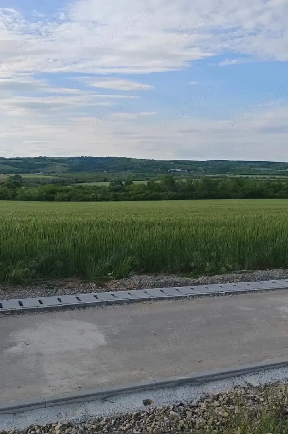 Teren intravilan Bighilin com. Bucov