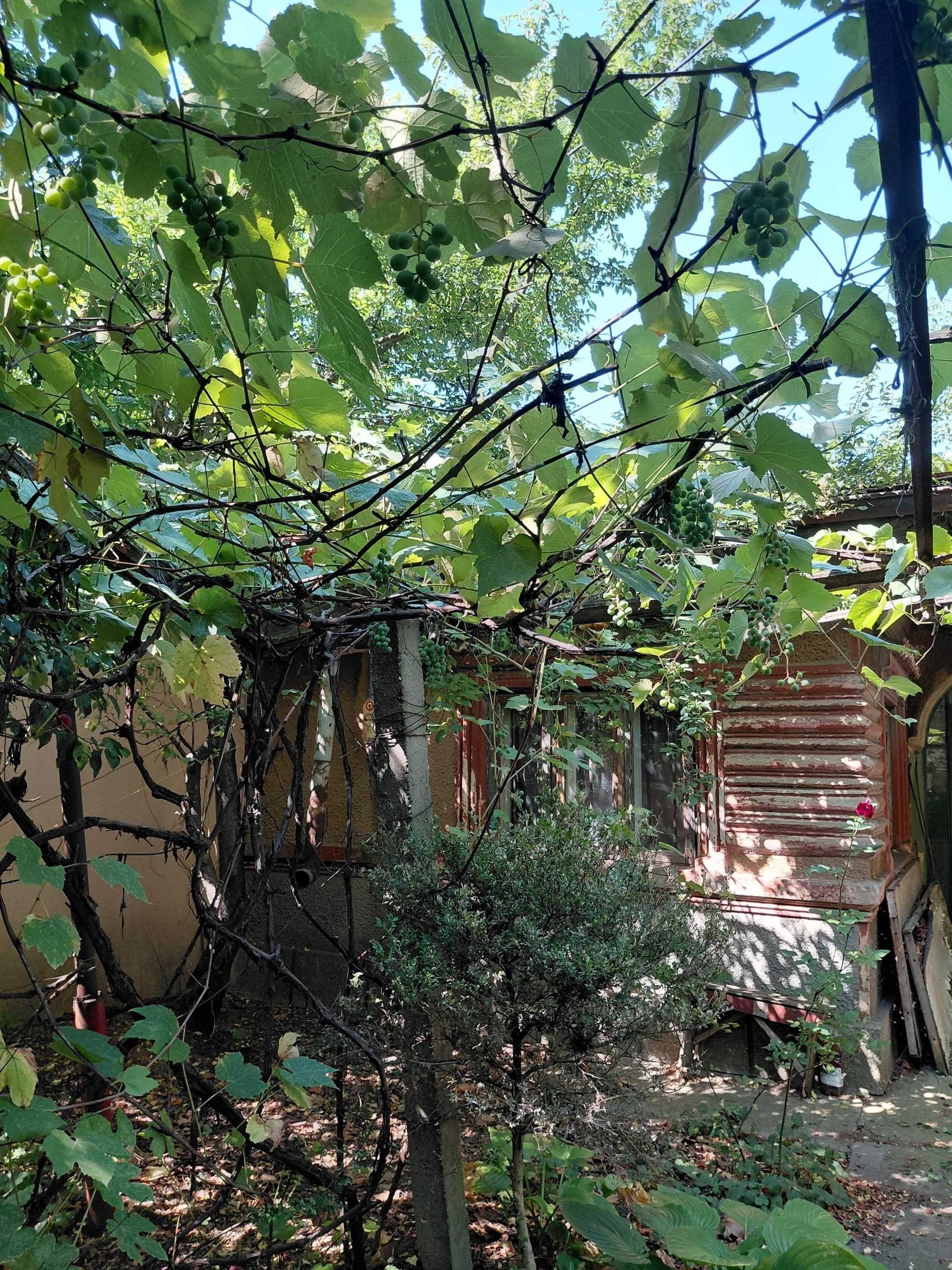 Vânzare teren cu casa demolabila  - Bucuresti sector 1