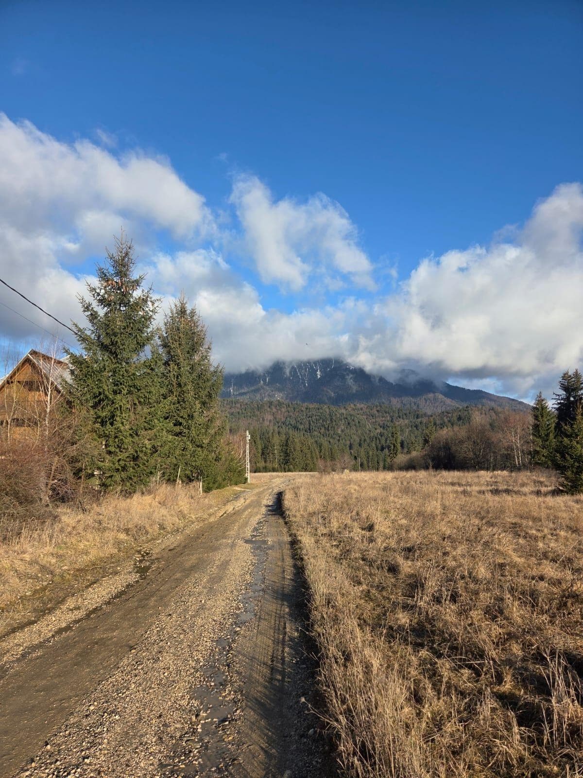 Teren DN1 Timișu de Sus Poiana lui Manole 1166mp zona de munte stradal - imagine 1