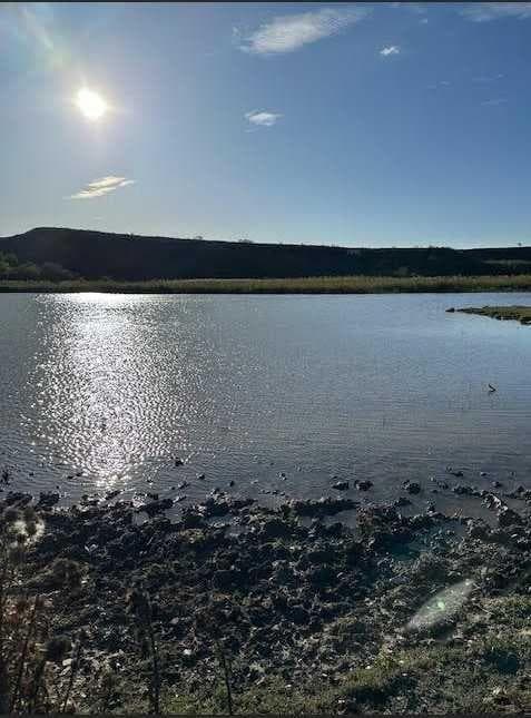 Teren- Lac natural 13,1 ha – investiție rară lângă București - imagine 1