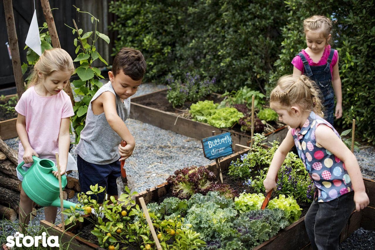 Lot Gradina Urbana, eco, bio. Loc pt case pe roti, tinyhouse, rulote