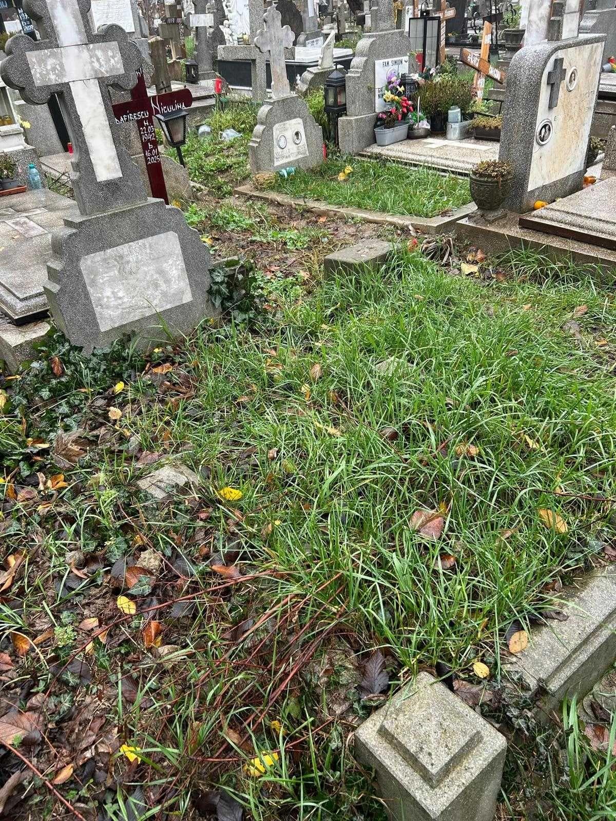 Vând loc de veci Cimitirul  Iancu Nou(Balaneanu)