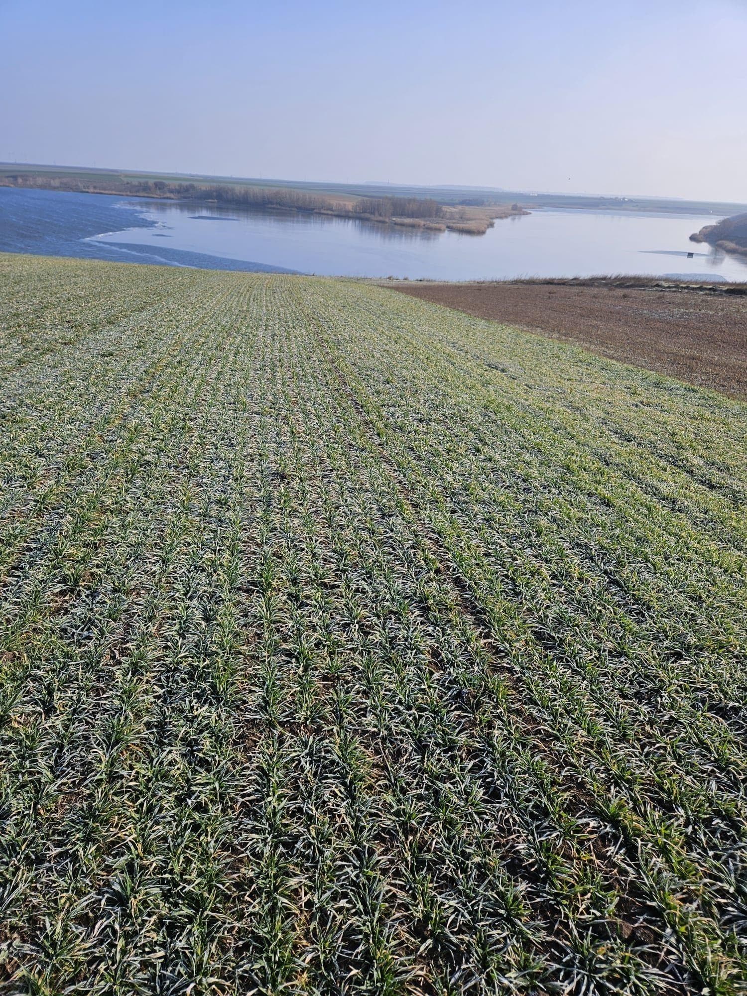 Vand teren  Fundulea  lac Gostile 28 km București - imagine 1