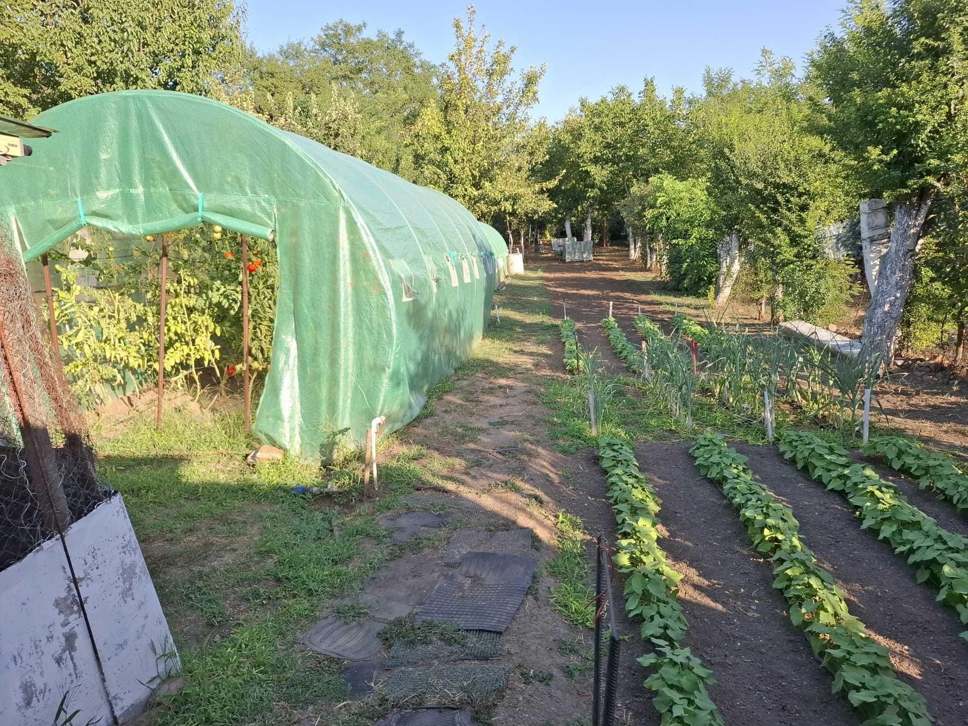 Vând casă din cărămidă renovată (2025) sector 1 bucuresti - imagine 1