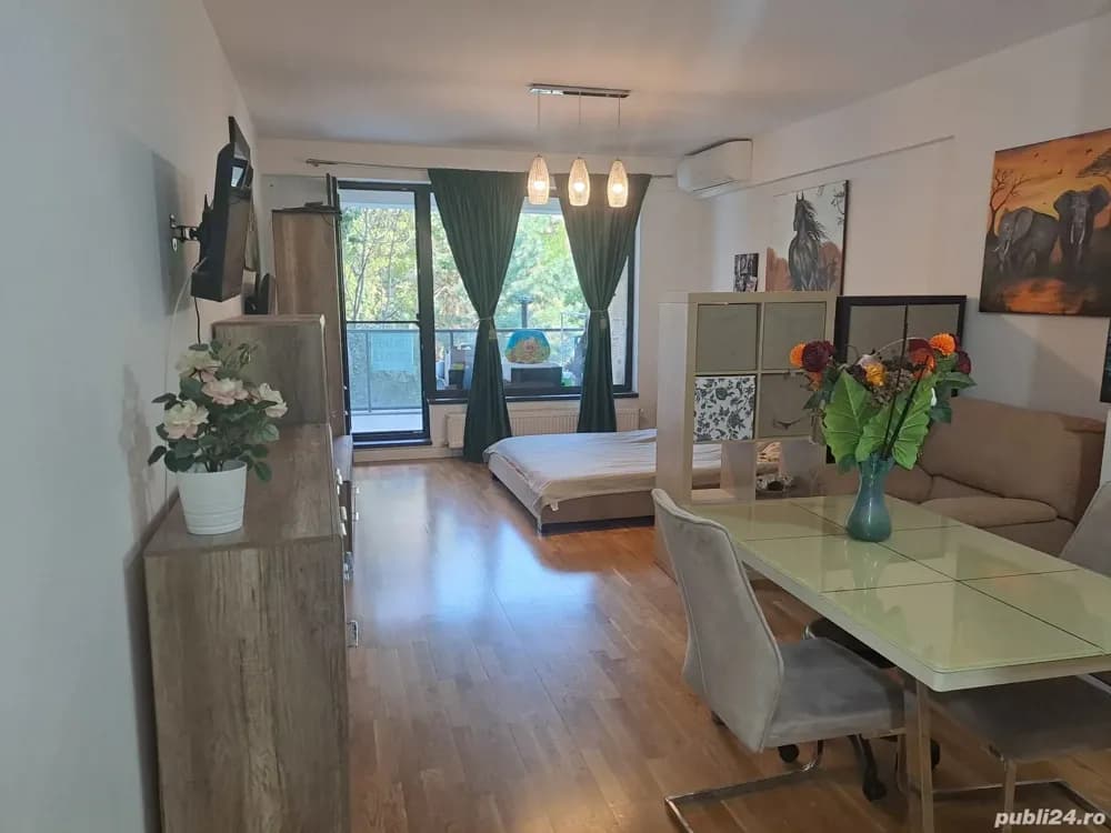 Proprietar  Iancu Nicolae  Cambridge school