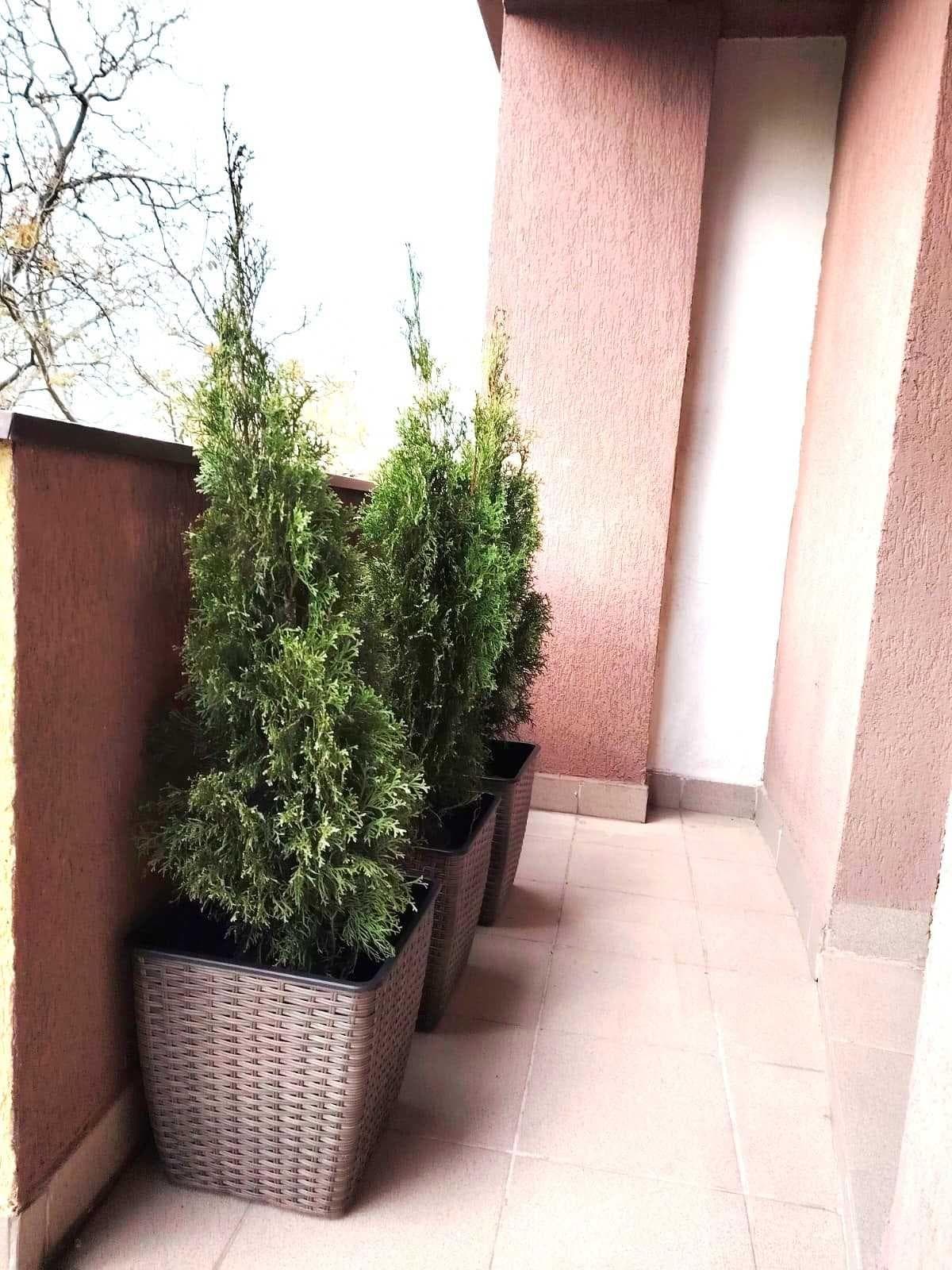 Apartament de vanzare cu o camera 39,53 mp intre Lacuri - imagine 8