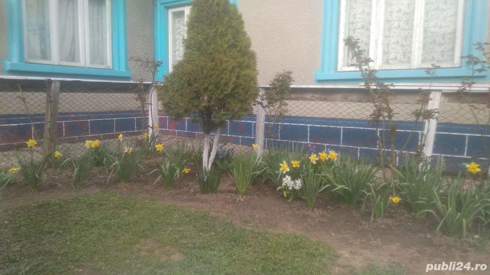 Se vinde casă cu teren în Constanța Palazu Mare - imagine 1