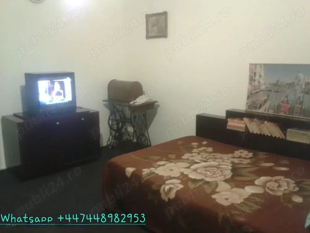 Berceni Str Turnu Magurele Pasaj Europa-vav Lidl - imagine 1