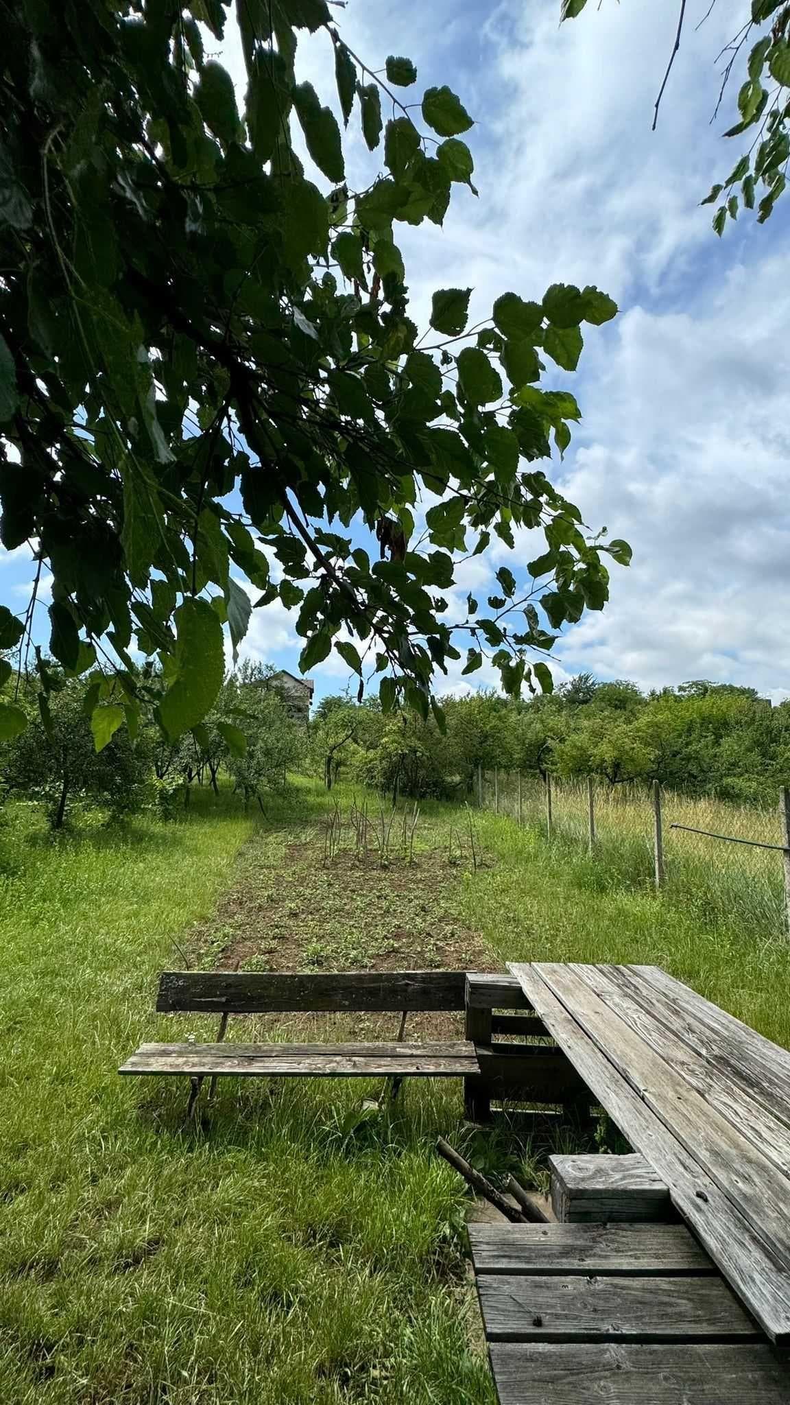 Vand teren intravilan zona Nymphea - imagine 1