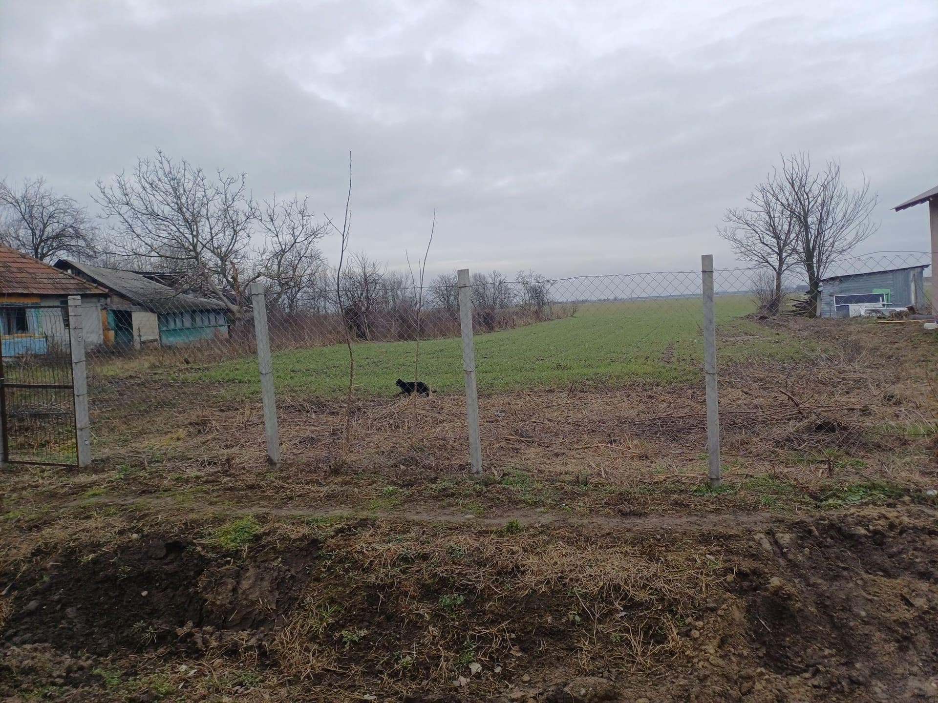 Vând teren intravilan și extravilan