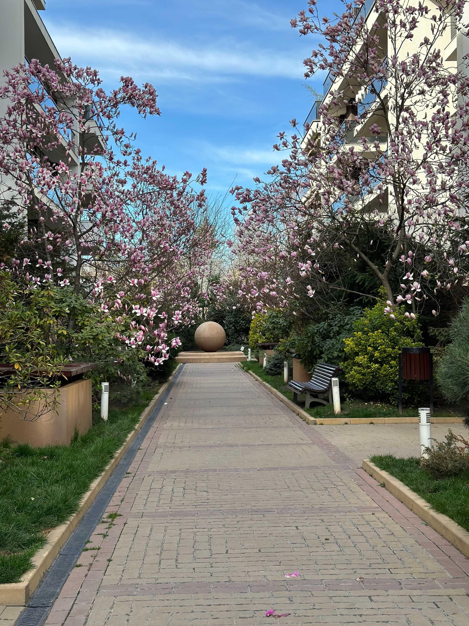 4 camere premium, Parcul Privighetorilor, lângă pădure, ideal familie - imagine 1