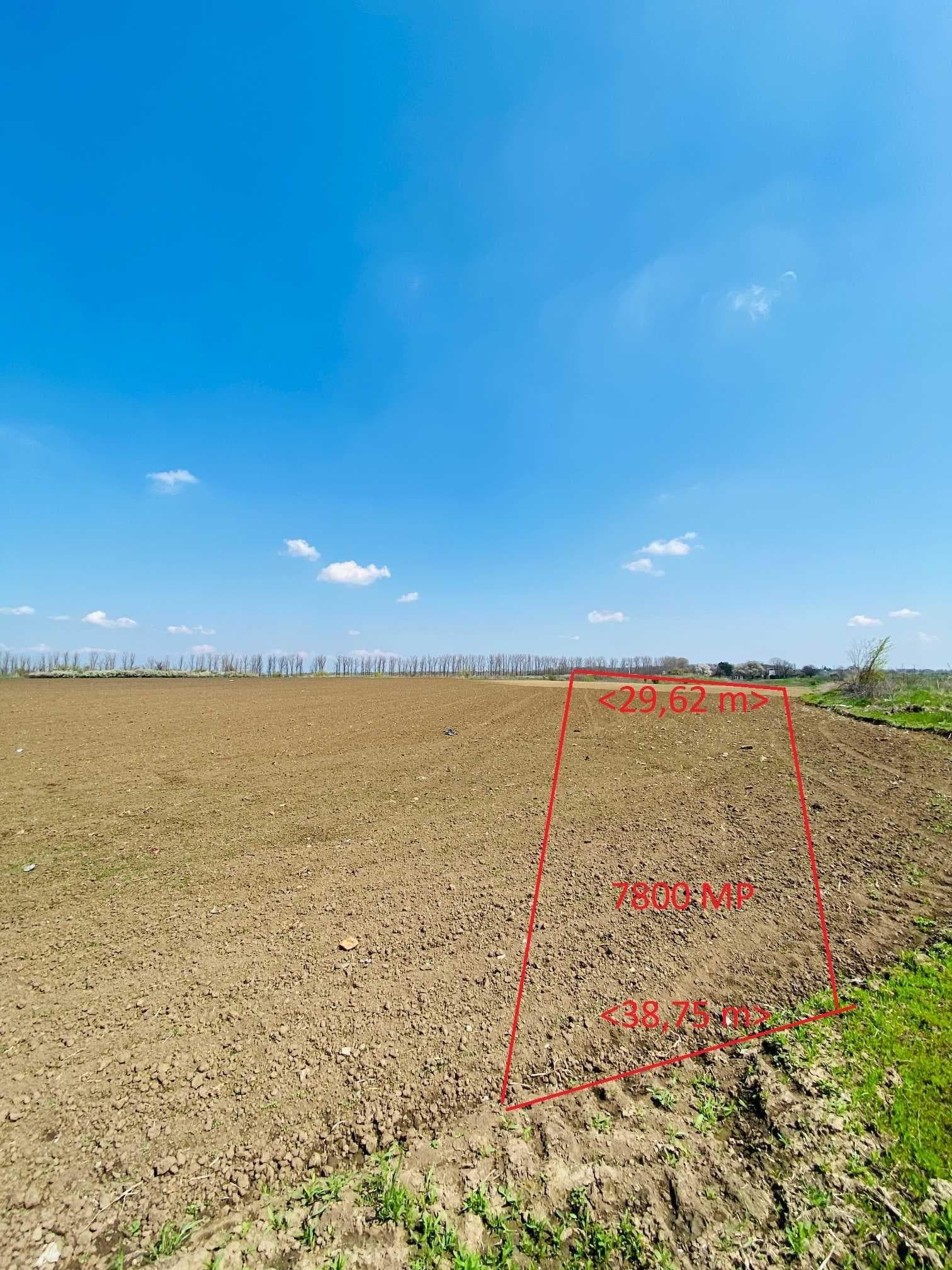 Vand teren extravilan 7800 mp in sat Lipia, com. Gruiu, jud. IF - imagine 1