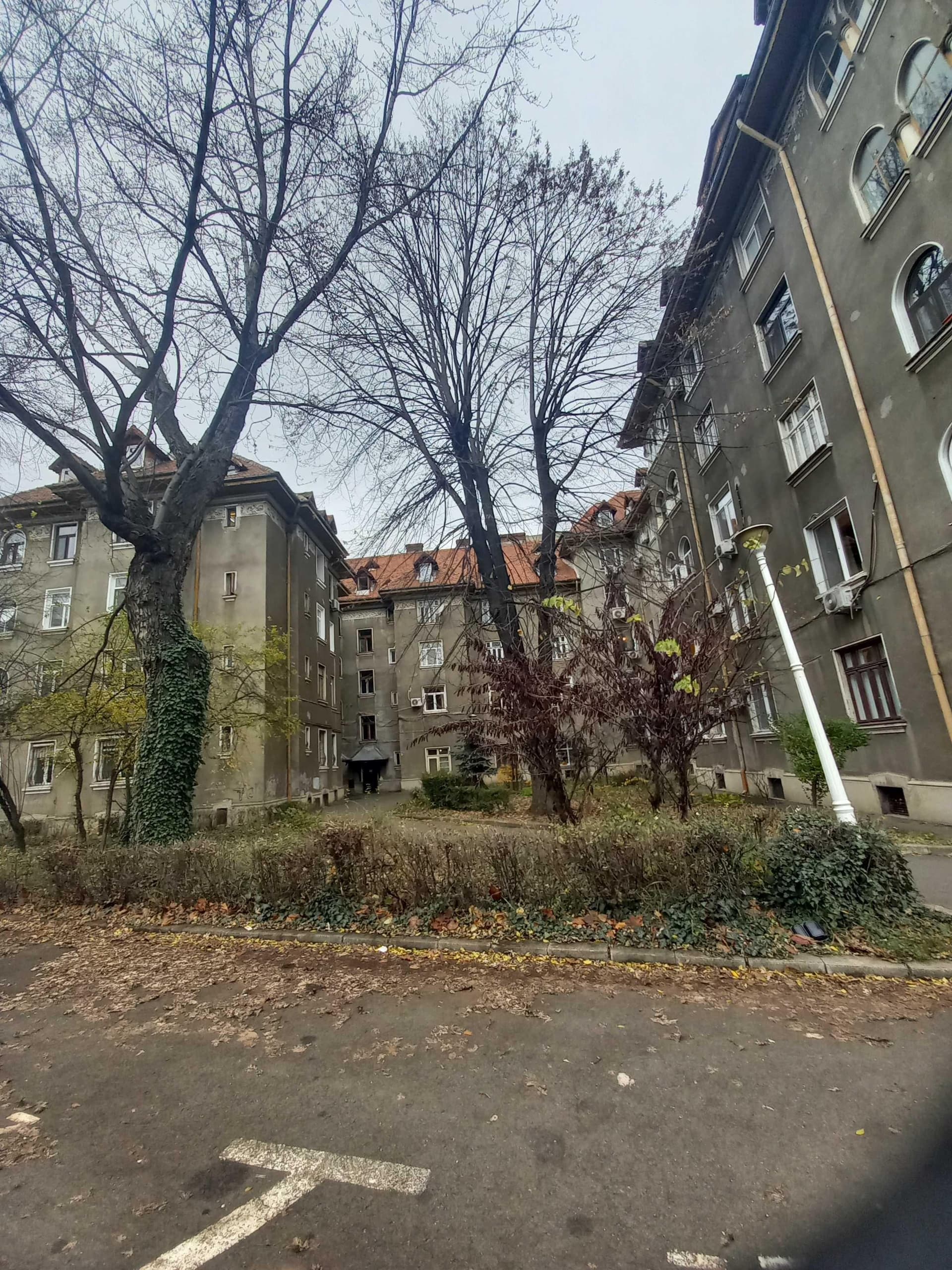 Iancului 4 sau 5 cam. str Caminului Gara de Est, Zona verde - imagine 1