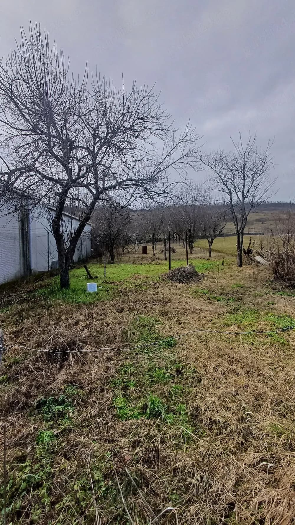 CASA cu cf,teren intravilan1200 mp langa KM17 JUCU1200mp...SUPER PRET!!! - imagine 1