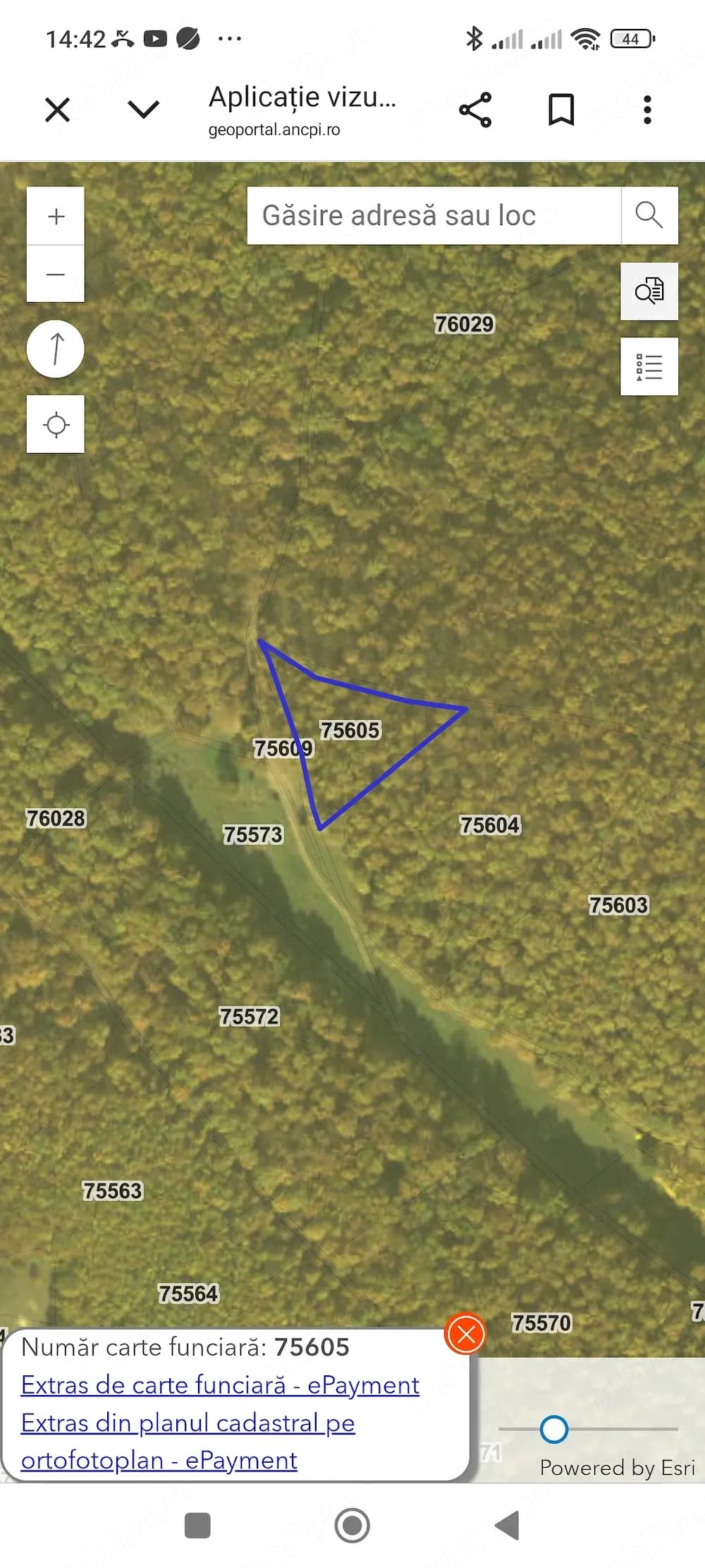 De vanzare padure - imagine 1