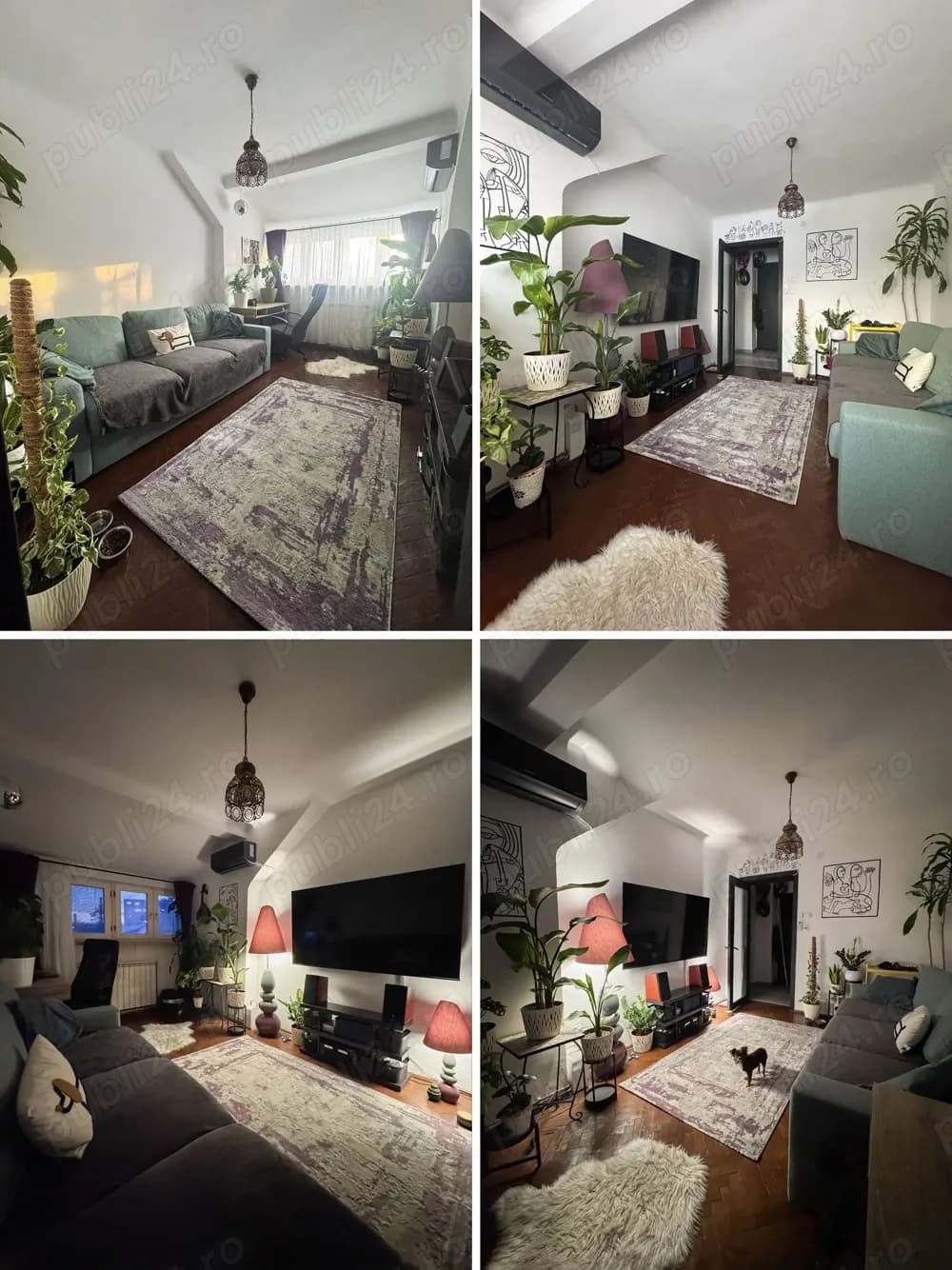 Apartament renovat cu 2 camere in vila in Domenii-Grivita - imagine 1