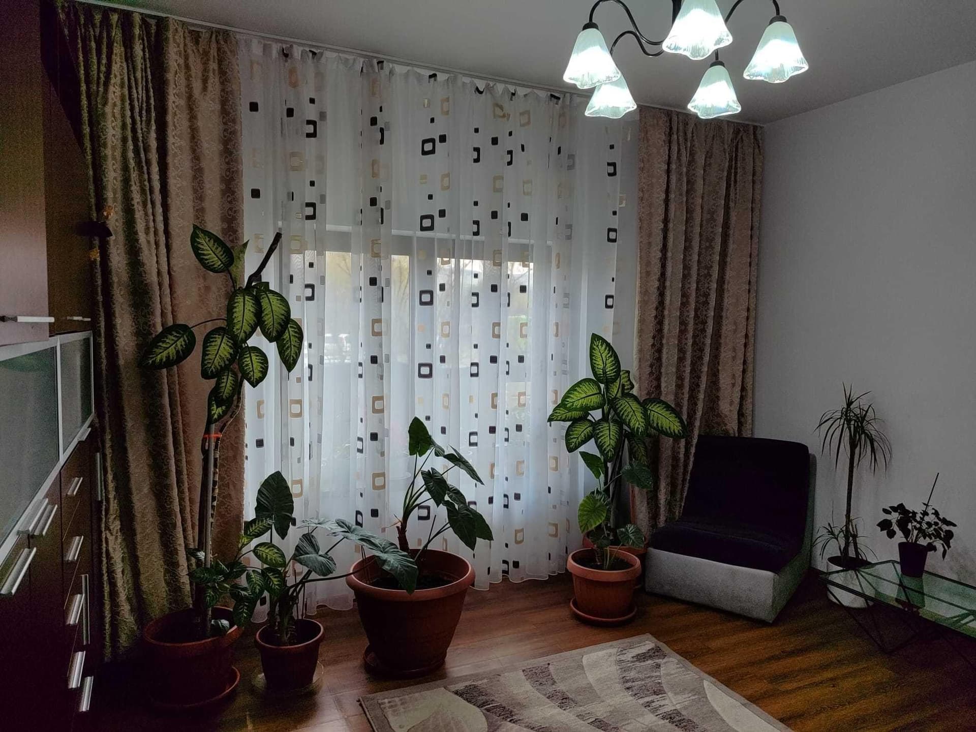 ap 2 camere la vila 56mp str. DONATH 220, GRIGORESCU, langa  Fantanele - imagine 4