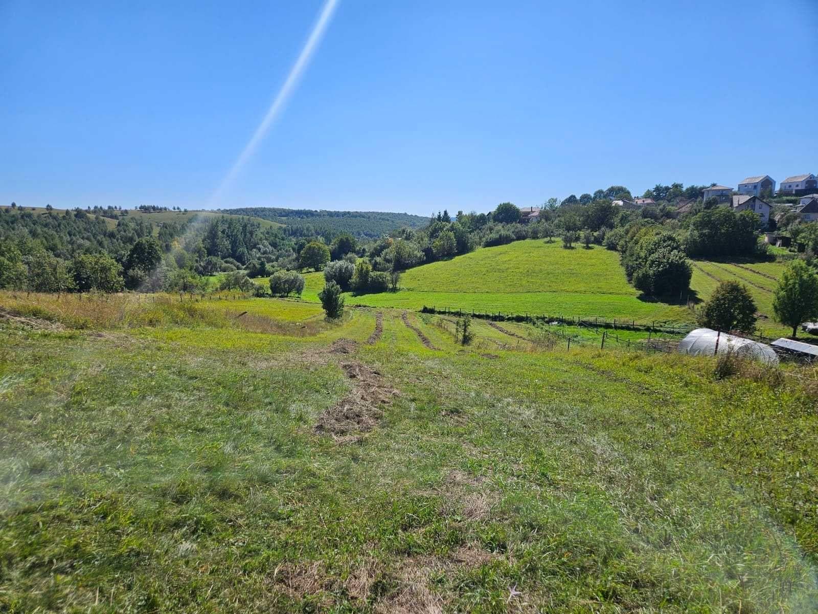 P.F vand teren 2915 mp in Feleacu cu autorizatie de contructie duplex