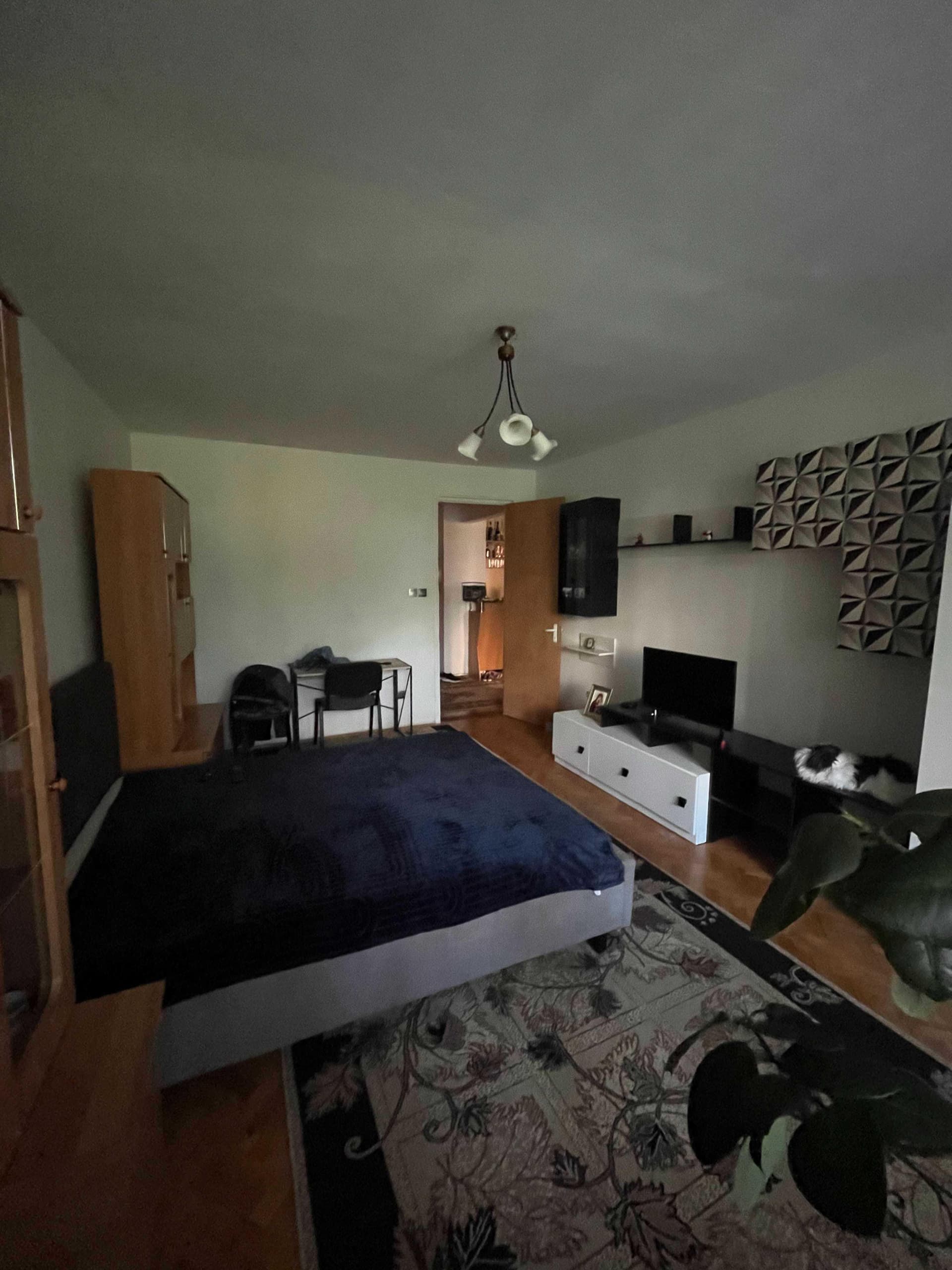 Vand apartament 2 camere decomandate + Bucătărie / Gheorghe Dima - imagine 3