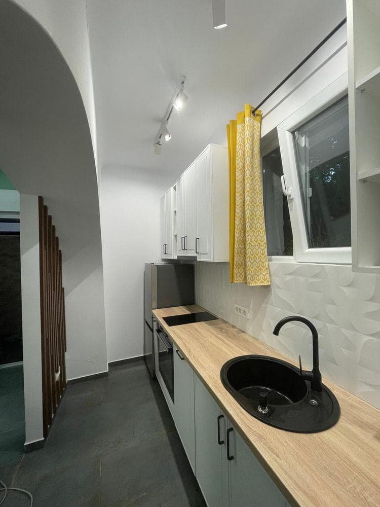 P.F. vand apartament cu 1 camera/gars., central,cu preluare de chirias - imagine 3