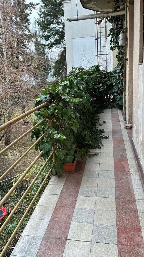 P.F. vand apartament in centru - imagine 8