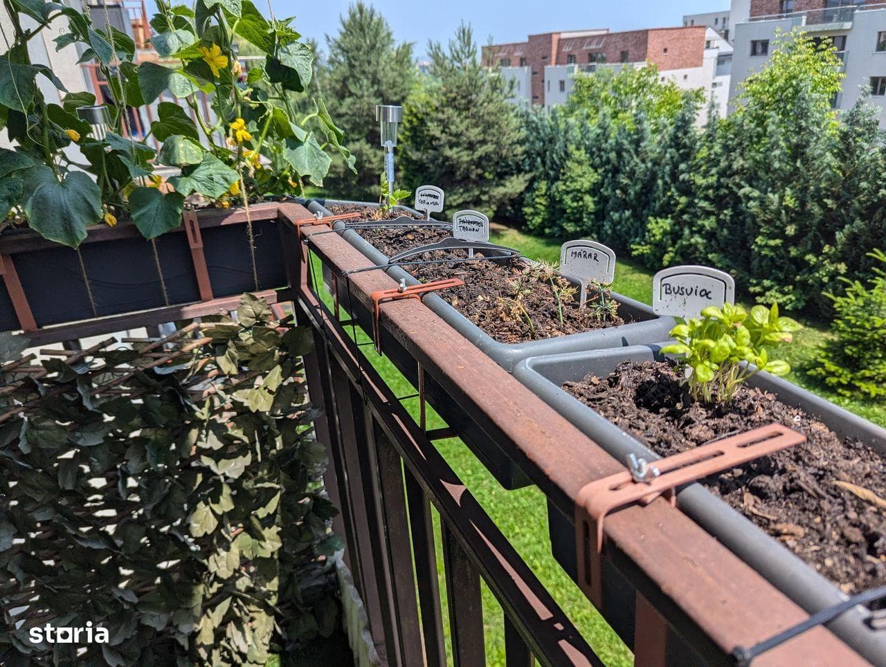 PF – Ap. 3 cam, cu spațiu verde generos și 2 locuri de parcare + Beci - imagine 4
