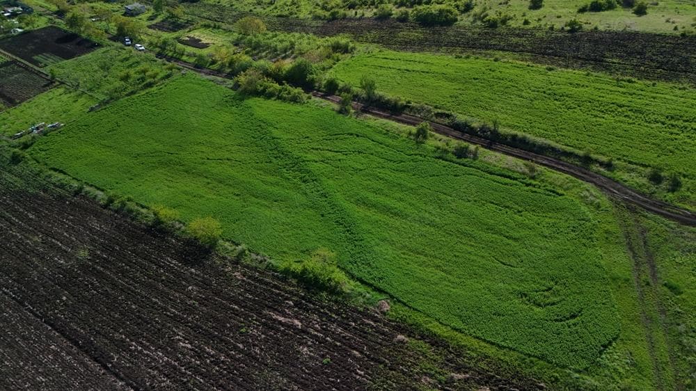 Teren Valea Fanatelor(3600mp), 20euro_mp, CLUJ