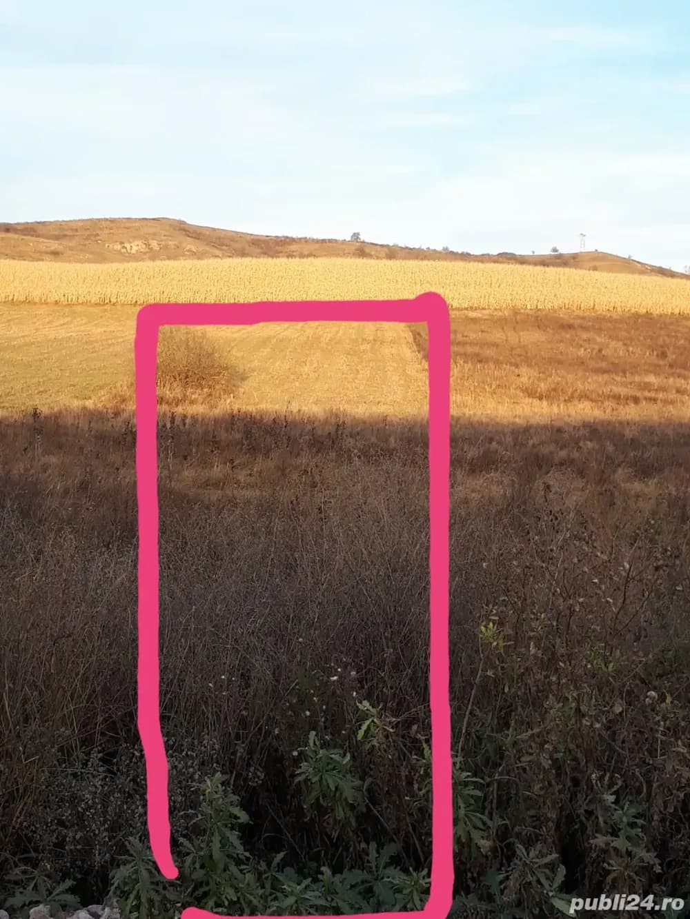 Vând teren extravilan