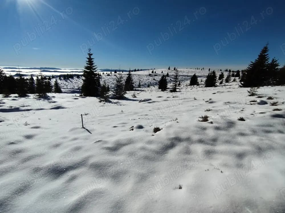 Vand teren intravilan 2666 mp comuna Horea Alba langa varful Petreasa 1600m altitudine