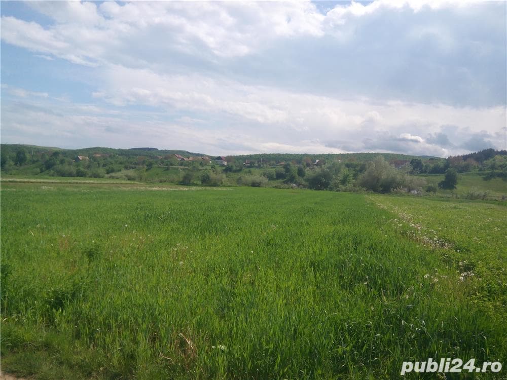 Teren intravilan in Savadisla 2000mp